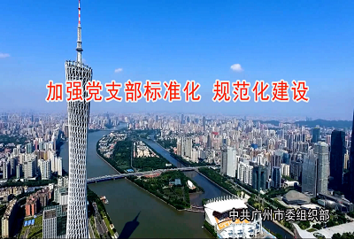 加強黨支部標(biāo)準(zhǔn)化 規(guī)范化建設(shè)