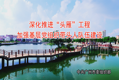 深化推進(jìn)“頭雁”工程，加強基層黨組織帶頭人隊伍建設(shè)